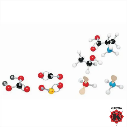 [KE02-58024] Polylab Student Molecular Model - Organic/Inorganic